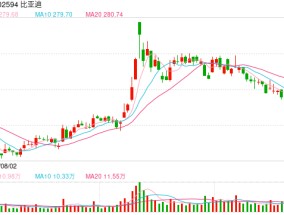 电动智能与新消费“双向奔赴”！自主品牌向上“突围” 中国新能源汽车站上世界舞台