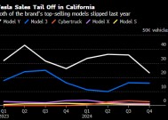 特斯拉去年在加州的销量明显下滑 或与马斯克为特朗普助选有关