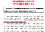 涉嫌挪用资金罪！这家A股公司实控人，被监视居住！