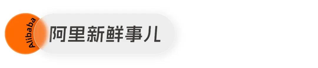 阿里事儿丨阿里巴巴发布2024助残行动报告，淘宝“见宝行动”助力10万残障商家创业